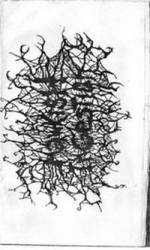 The Craneal Hunger Seed